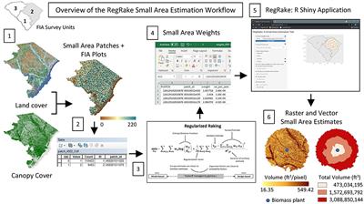 RegRake: A Web-Based Application for Custom Small Area Estimation and Mapping of Forest Survey Data With Regularized Raking